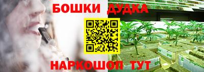 кокс Донской