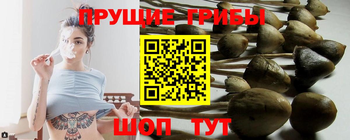 Псилоцибиновые грибы ЛСД  Псилоцибиновые грибы Cubensis  Вход с VPN  Мариинск 